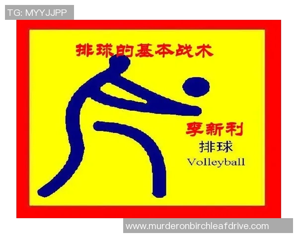 南京排球队节奏对比分析透视球队风格与战术演变