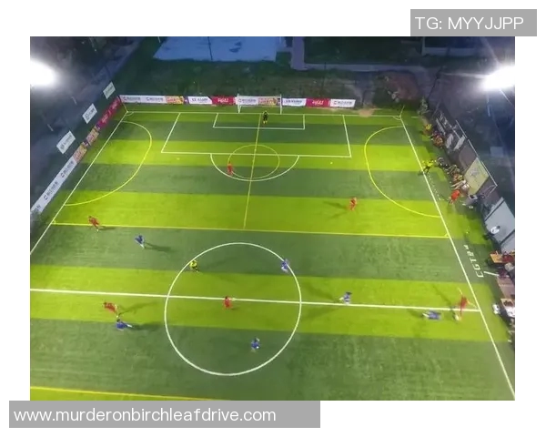 南京足球队现状揭秘：从训练到比赛的全景分析与展望