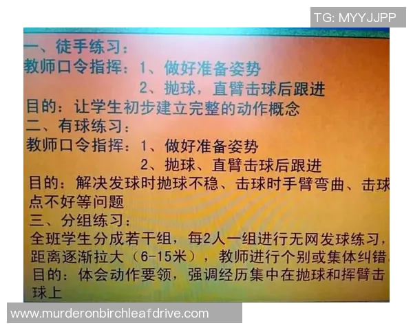 重庆排球队与广州排球队的较量分析与战术总结