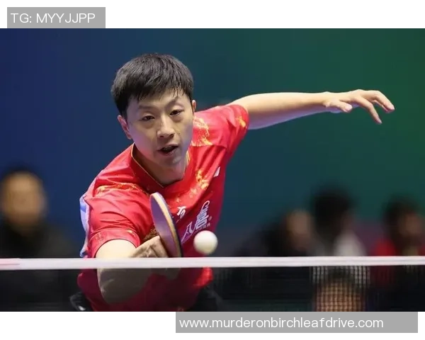 乒乓球巨献：探秘北京乒乓球队的团队协作