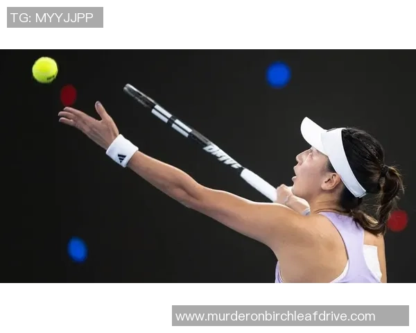 专业解读：武汉网球队的运营打法