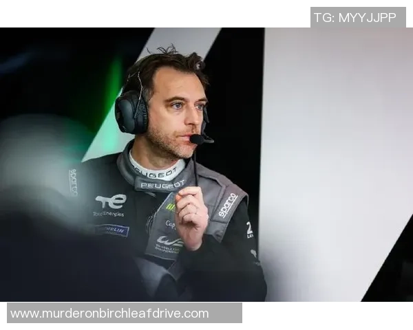 数据分析：WE的耐力表现